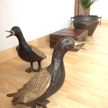 Retro Vintage Recien Reformado En Centro Coruna Apartman A Coruña Kültér fotó